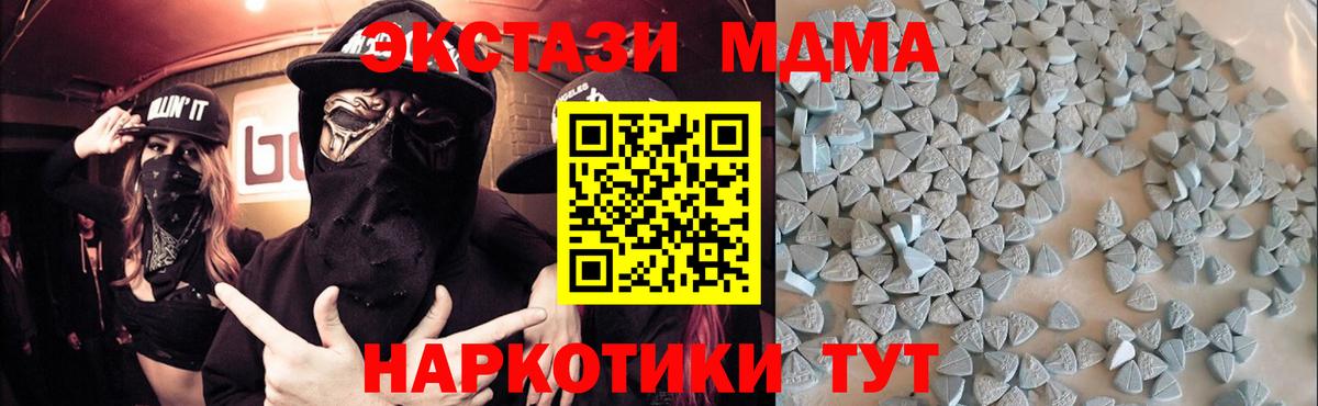 где можно купить наркотик  ЭКСТАЗИ mix  Камышин  Вход с VPN  Ecstasy 280 MDMA 