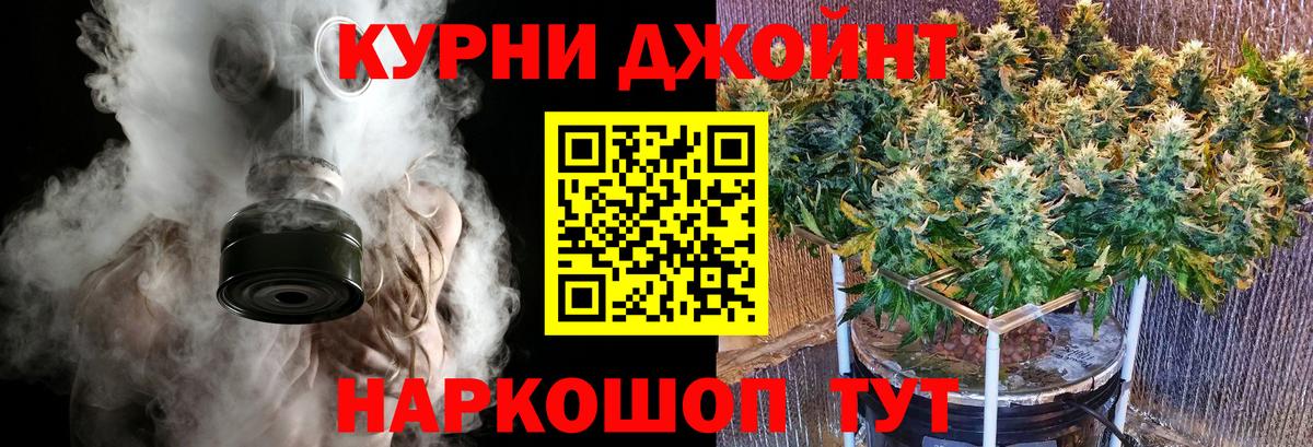 Бошки марихуана план Камышин